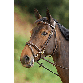 HFI Functioneel Hoofdstel 